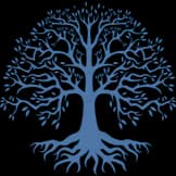 Olive Branch Global Ventures logo